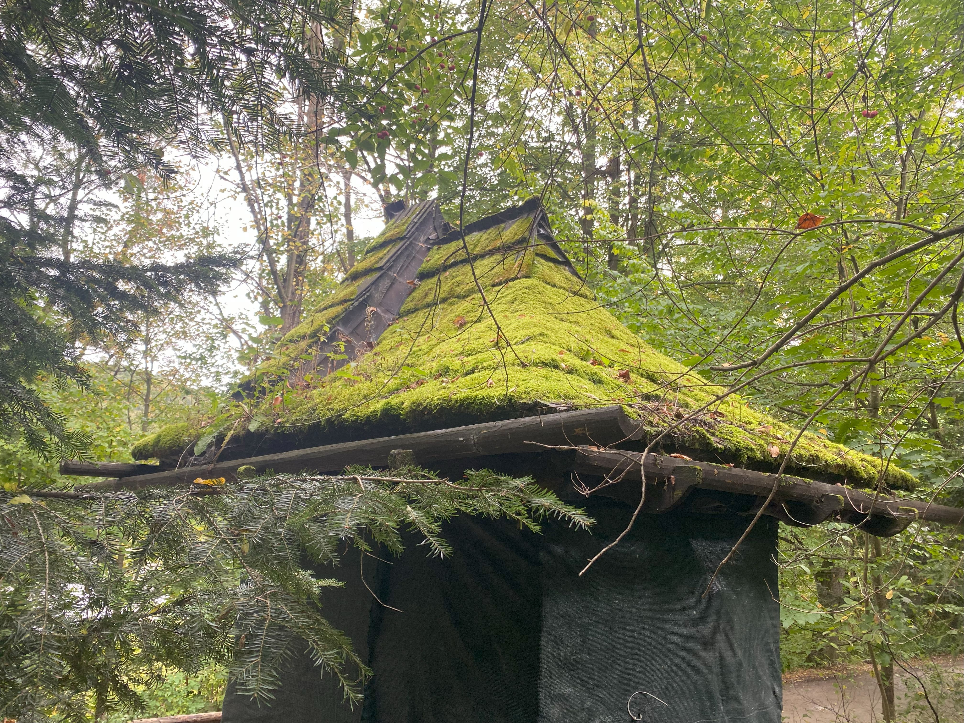 الجرارات والآلات الزراعية
